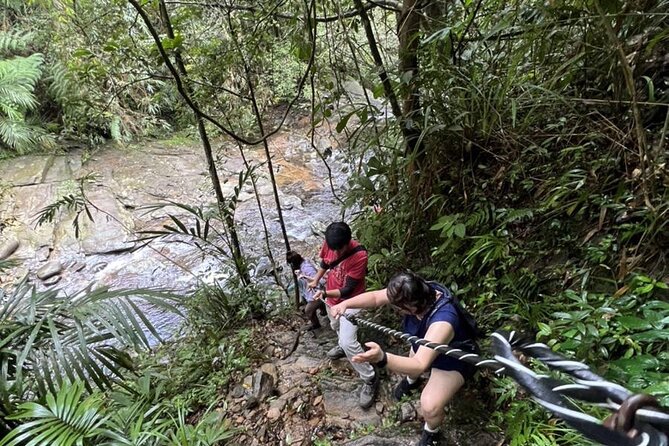 Experience Da Nang Hoi An to Hue via Bach Ma National Park Trekki - The Sum Up: Who Is This Tour Best For?