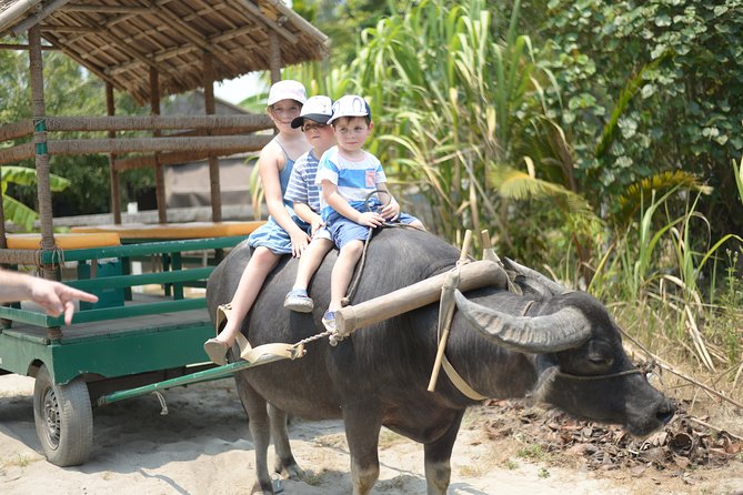 Traditional Cooking Class with Basket Boat Ride and market Tour - Who Will Get the Most Out of This Tour?