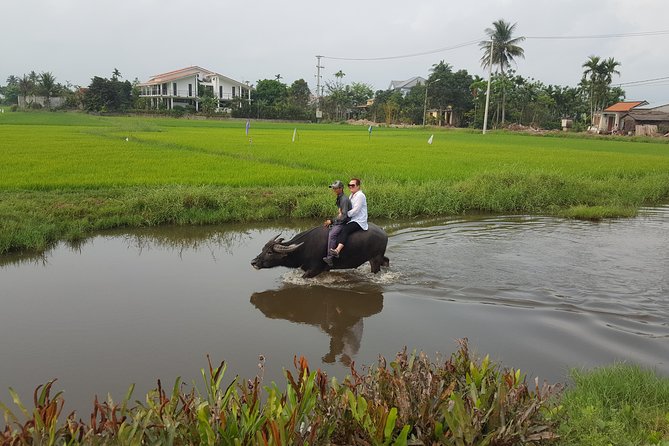 Basket boat, sightseeing, bamboo class - The Sum Up