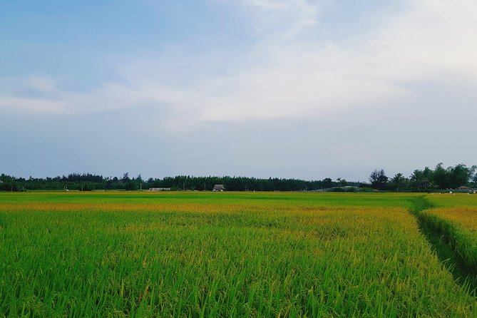 Basket boat, sightseeing, bamboo class - FAQ