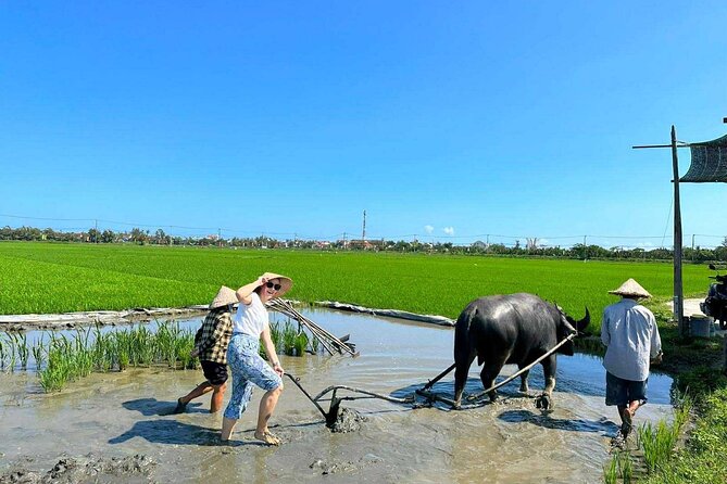 Authentic Hoi An: Explore Countryside with Locals - Why This Tour Works for Travelers