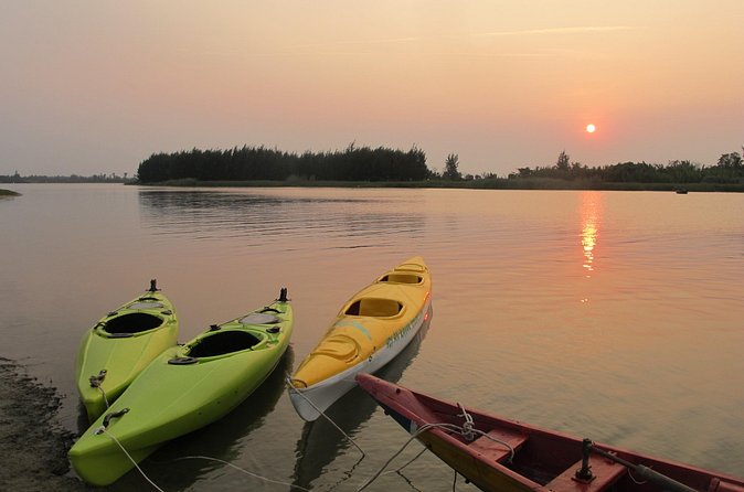 Private Hoi An Bike and Kayak Guided Tour with Lunch - Who Should Consider This Tour