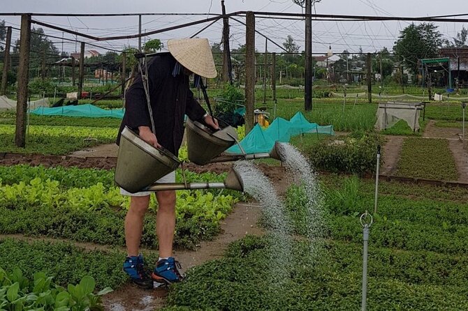 Experience Cooking Class with Tra Que Farm - What You Can Expect from the Cooking Class Experience