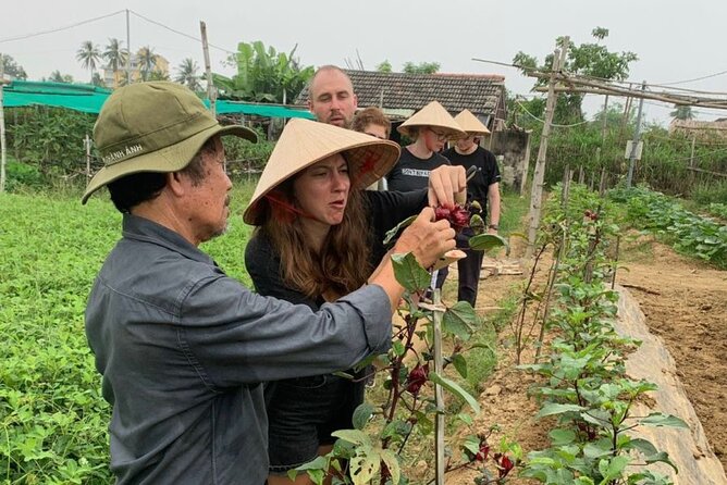 Cycling and Vegan /Vegetarian Cooking at Organic Farm - Cycling and Vegan /Vegetarian Cooking at Organic Farm — A Genuine Taste of Hoi An