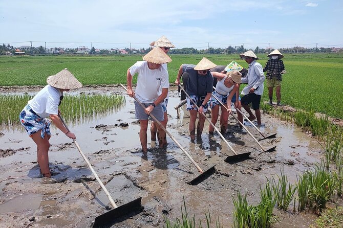 Cycling, Buffalo Ride and Basket Boat Tour in Hoi An - Value and Practical Details