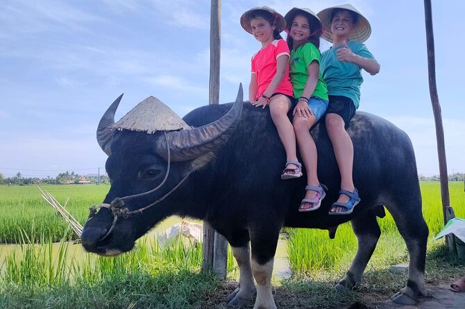 Cycling, Buffalo Ride and Basket Boat Tour in Hoi An - Key Points