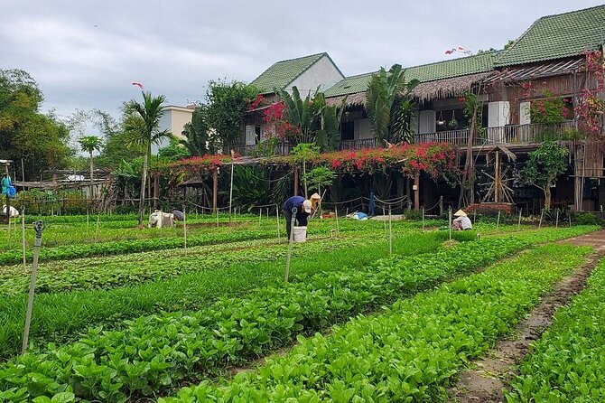 Hoi An Vespa Adventure Uncover Hidden Gems and Top Attractions - Frequently Asked Questions