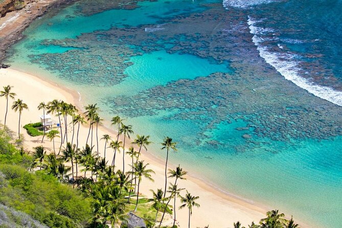 Cham Island Snorkeling: Top Day Trip from Hoi An or Da Nang - Practical Details and Value