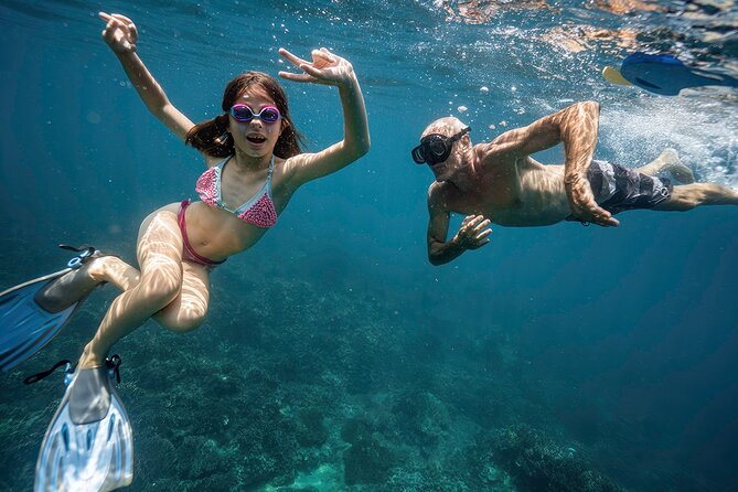 Cham Island Snorkeling: Top Day Trip from Hoi An or Da Nang - Key Points