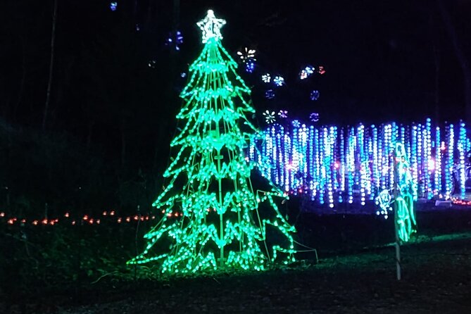 Custom Event Services and Tours for Unforgettable Experiences - A More In-Depth Look at the Experience