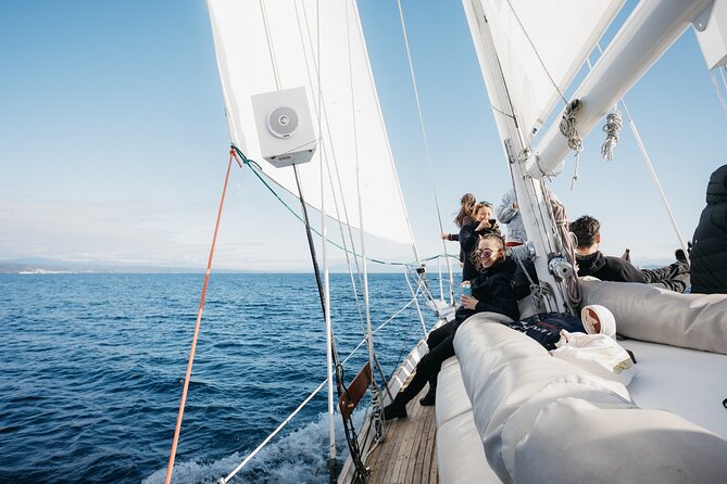Maori Rock Carvings Eco Sailing Taupo - What’s Included and What to Bring