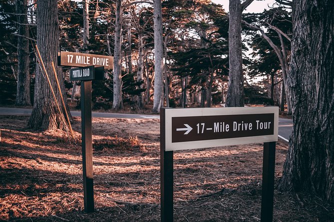 17-mile Drive Electric Bike Rental (4 hours) Best Place to Start! - The Sum Up