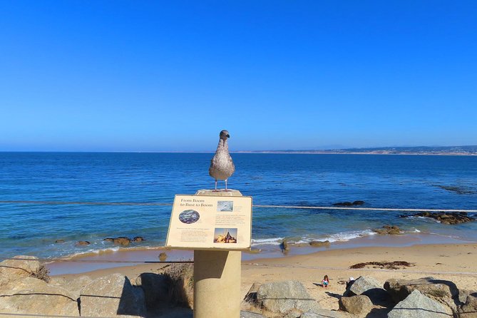 Historic Cannery Row: A Self-Guided Audio Tour of John Steinbeck's Monterey - Final Thoughts: Is This Tour Worth It?