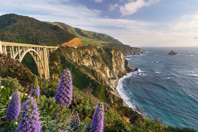 Half Day Private Big Sur Driving Tour in California - An In-Depth Look at the Big Sur Private Driving Tour