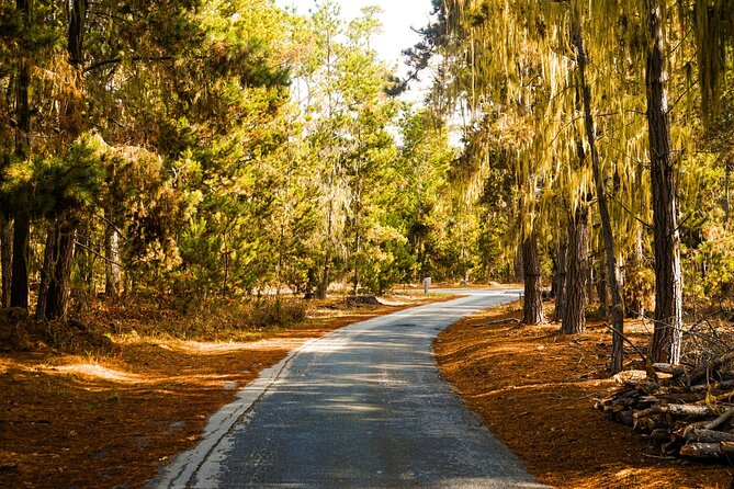 Self Guided Driving Audio Tour of 17 Mile Drive Monterey - Good To Know