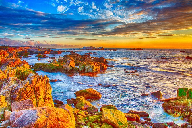 Self Guided Driving Audio Tour of 17 Mile Drive Monterey - What Makes This Tour Stand Out?