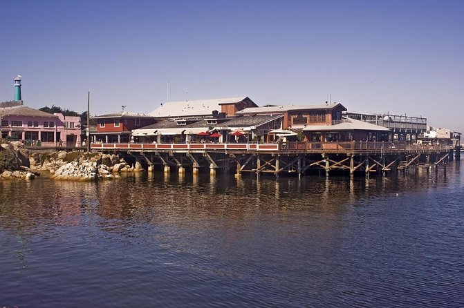 4 Hour Whale Watching Tour From Monterey - The Itinerary: What to Expect on Your Monterey Whale Watching Trip