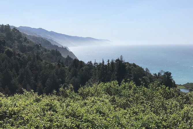 Big Sur Sightseeing Tour - Analyzing Value and Experience