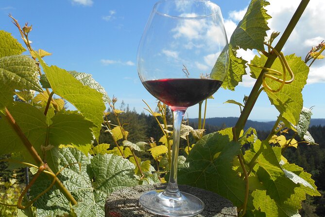 Morning Half Day Carmel Valley Wine Tasting Tour - The Sum Up: Is It Worth It?