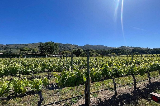 Morning Half Day Carmel Valley Wine Tasting Tour - FAQ
