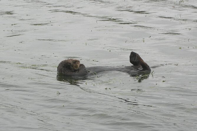 Half Day Monterey Peninsula Sightseeing Tour - Price and Value