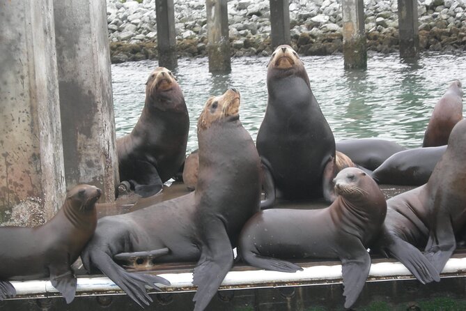 Half Day Monterey Peninsula Sightseeing Tour - Final Thoughts