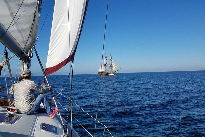 Monterey Private 3 - 4 Hour Whale Watching Cruise - FAQ