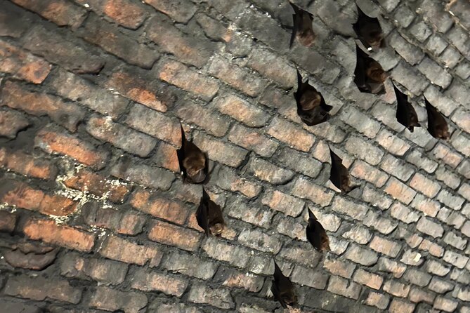 Makang, Mutan, Houtong Cat Village & Sandiaoling Day Tour - An In-Depth Look at the Itinerary