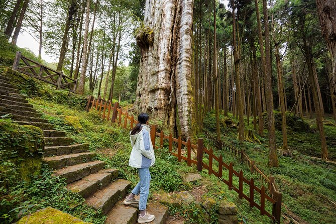 Alishan Taiwan 2 Day Private Tour from Taipei - In-Depth Look at the Alishan 2-Day Private Tour