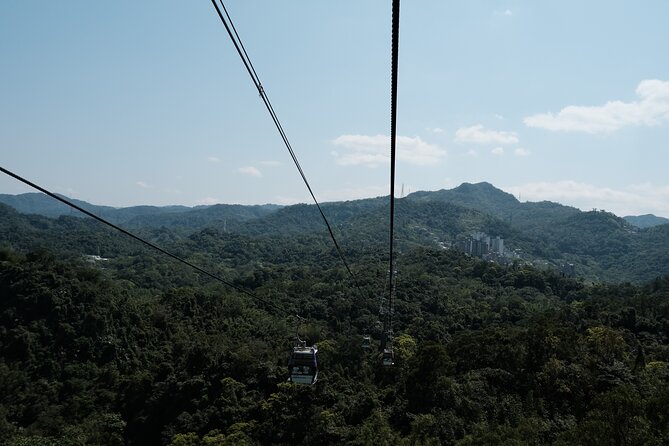 Maokong Gondola and Camphor Trail - Detailed Breakdown of the Itinerary