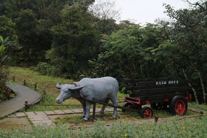 Maokong Gondola and Camphor Trail - Analyzing the Value