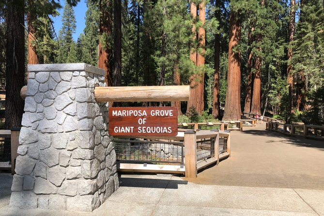 Yosemite Highlights Small Group Tour - Key Points