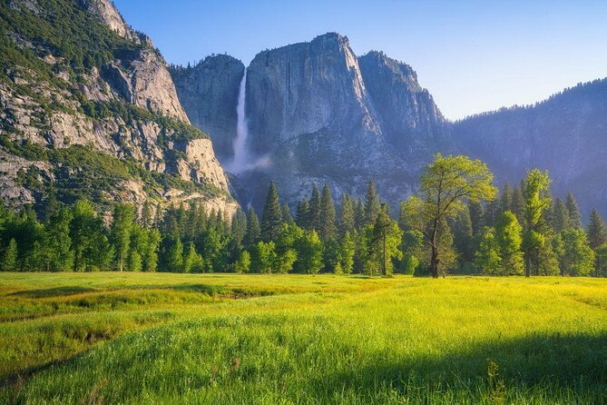 Yosemite Highlights Small Group Tour - Discover Yosemite: An In-Depth Review of the Highlights Small Group Tour