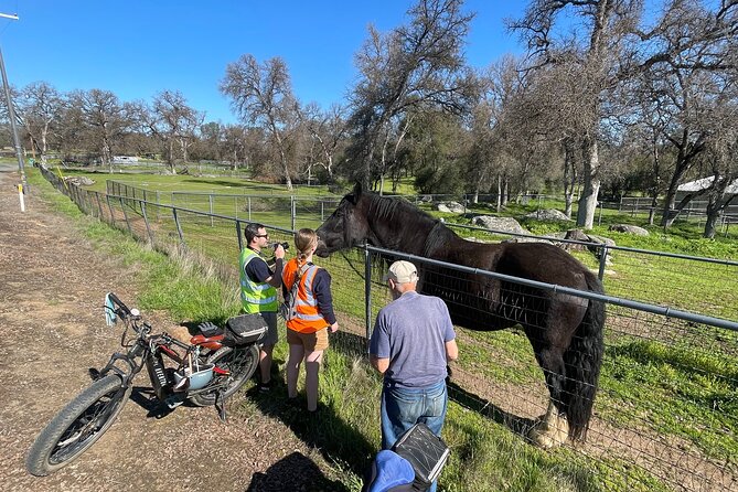 Full Day Electronic Bike and Rock Climbing Tour - The Sum Up