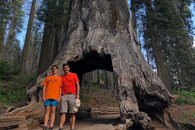 Yosemite Valley Discovery Walk - FAQ