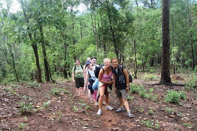 Chiang Mai ATV Tour, Doi Inthanon Trekking, and Elephant Watching - Who Will Enjoy This Tour?
