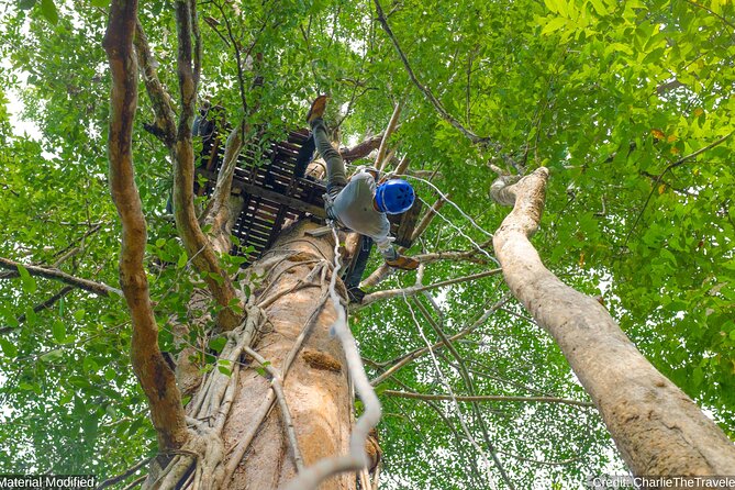 North & Central Thailand: See it ALL in 12 Days, 1st Class Tours - Authentic Experiences You’ll Remember