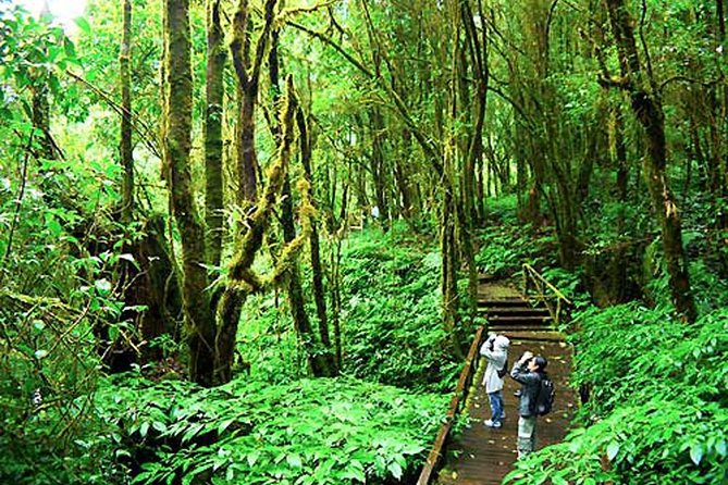 CHIANG MAI: Doi Inthanon-Trekking Keiw Mae Pan-Waterfall-Lunch - FAQs