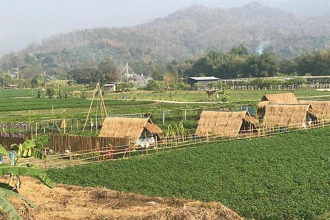 Half-day hilly E-bike adventure (fully paved roads, GUIDED) - Real Guest Perspectives