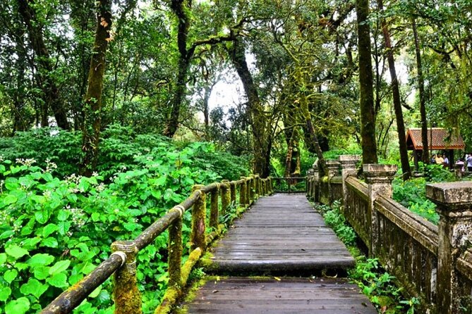 Doi Inthanon Scenic Explorer Waterfalls, Pagodas and Hill Tribes - Authentic Experiences That Matter