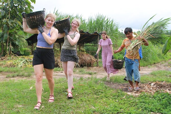 Big Boy Elephant Sanctuary Half Day Tour + Pad Thai Cooking Class - FAQ