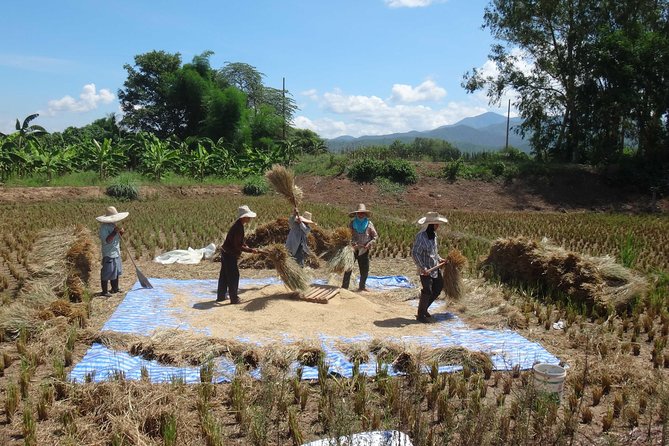 Chiang Mai Biking & River Kayak : Gentle Thrills in a Lush Valley - Frequently Asked Questions
