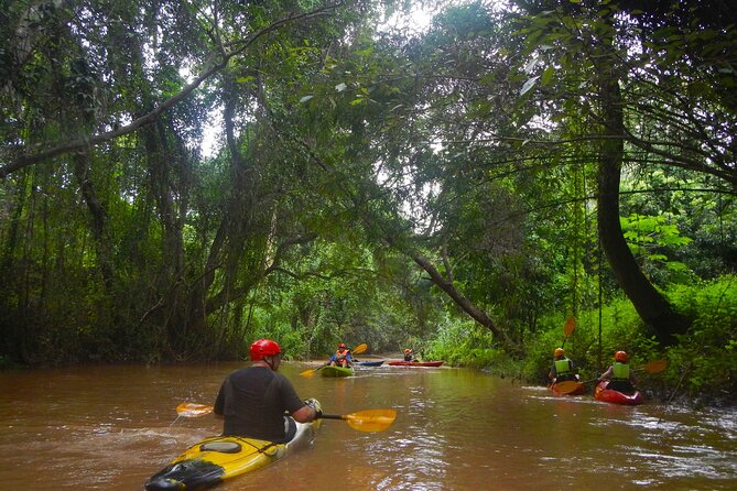 Chiang Mai : Kayak the Jungle Rivers of Chiang Dao Valley! - Key Points