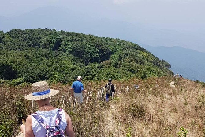 Doi Inthanon National Park Day Trip - What’s Included and What’s Not