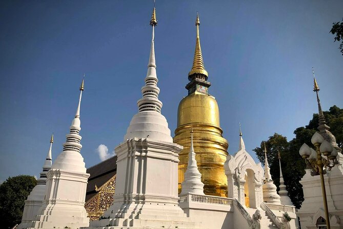 Half Day tour Suan Dok Temple, Umong temple & Doi Suthep Temple - Authentic Experiences and Practical Insights
