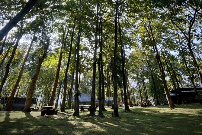 Half day Sticky Waterfall (Bua Thong Waterfall) and local market - What To Expect: Practical Details and Tips