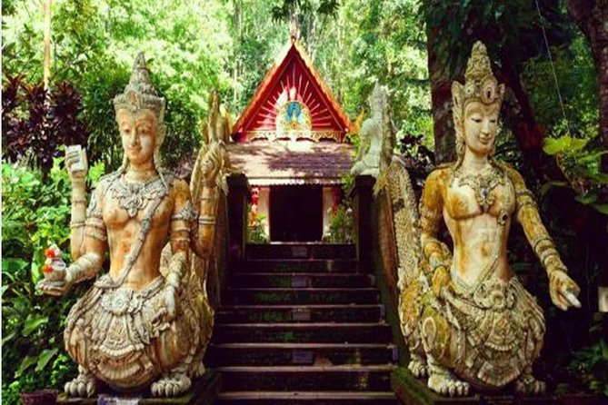 Wat Prathad DoiSuthep Sunrise+Giving alms to the monks Private Tour - The Sum Up