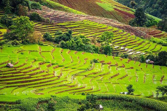 Private Program Discovery Chiang Mai - Half/Full day / Night tour - What’s Included and What’s Not  