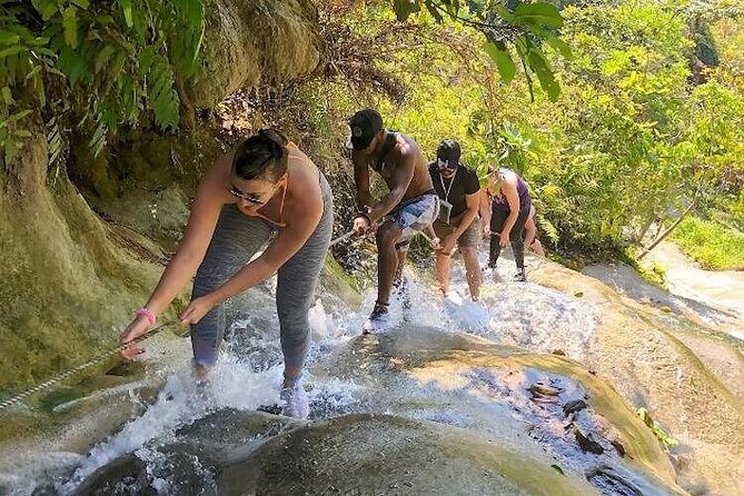 Chiang Mai Chapulin Elephant Care and Sticky Waterfall - How the Tour Is Structured