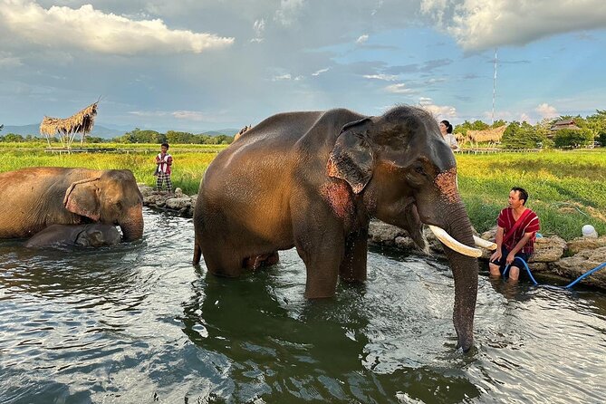 Chiang Mai Chapulin Elephant Care and Sticky Waterfall - Final Thoughts